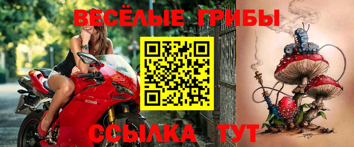 Псилоцибиновые грибы прущие грибы  Вход с VPN  Трёхгорный  Псилоцибиновые грибы MAGIC MUSHROOMS 